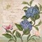 Parisian Hydrangeas II Poster Print by Paul Brent - Item # VARPDXBNT730